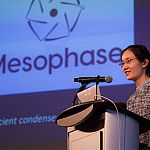 Mesophase wins 2022 Water Innovation Prize