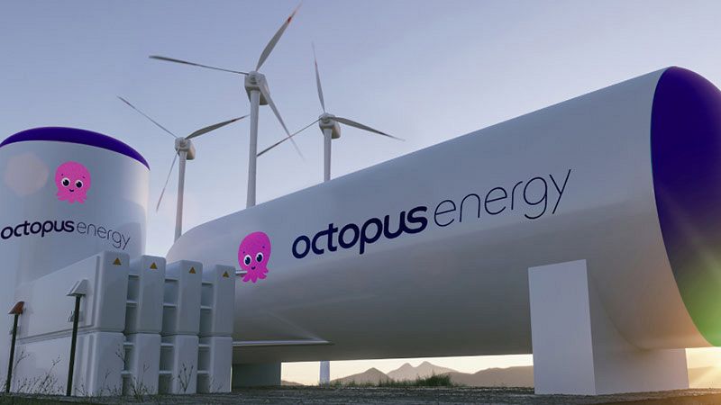 Octopus signs a financial partnership with Xlinks