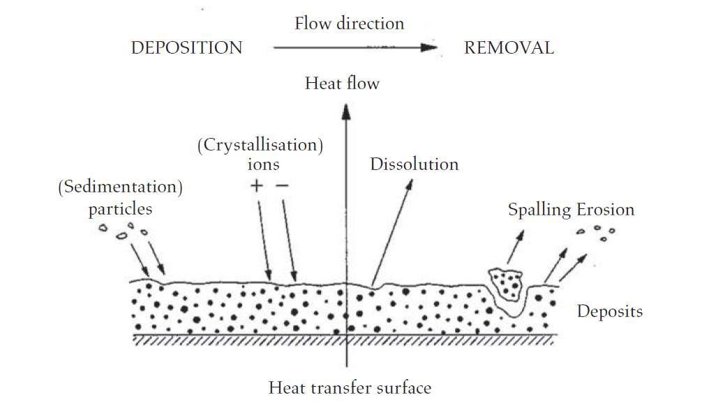 The various deposition and removal processes during fouling.