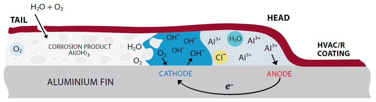 Figure 3: The electrochemical process of filiform corrosion.