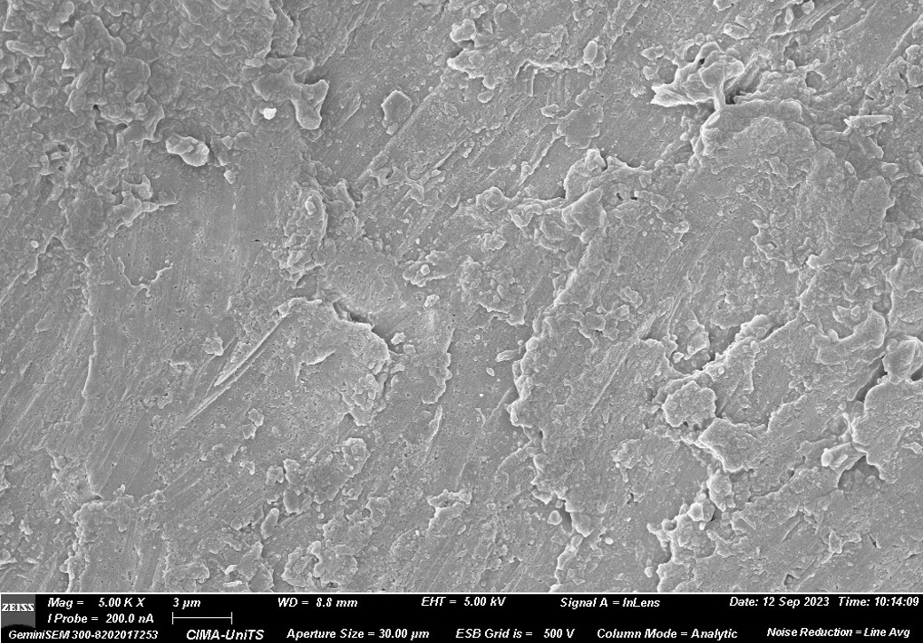 Figure 7. Scanning electron microscope comparison between uncoated Cu-Ni sample and epoxy-coated tube.