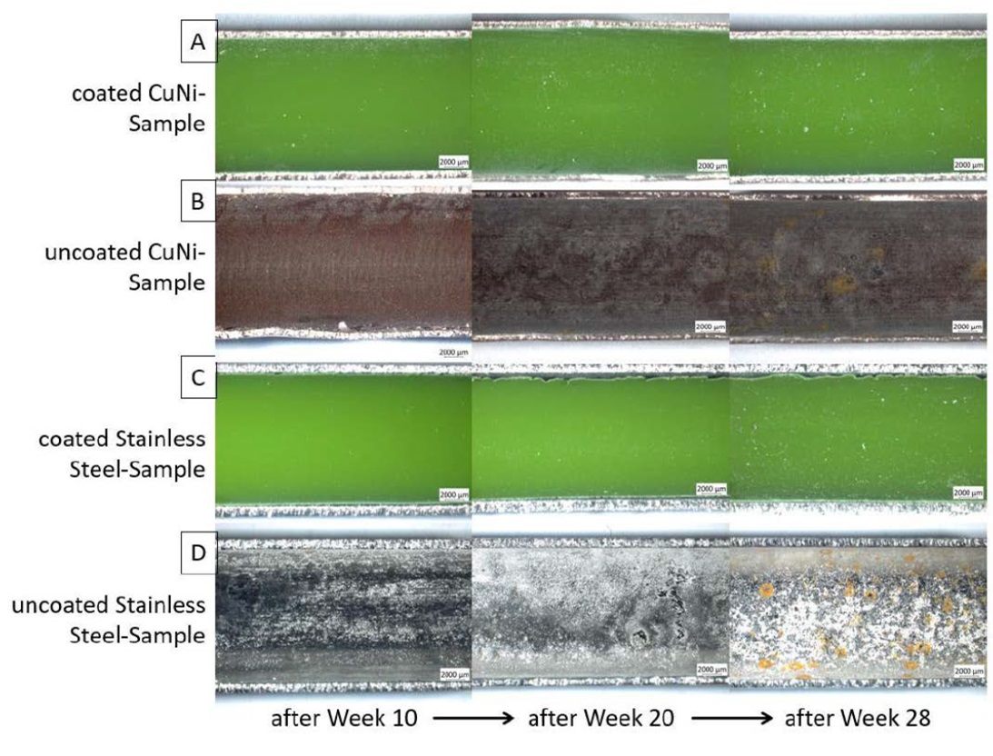 Figure 9. Visual comparison over the time between coated and uncoated tubes.
